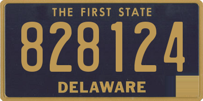 DE license plate 828124