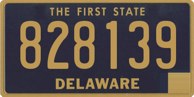 DE license plate 828139
