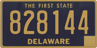 DE license plate 828144