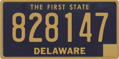 DE license plate 828147