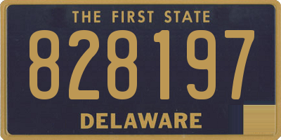 DE license plate 828197