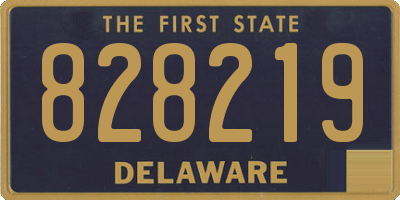 DE license plate 828219