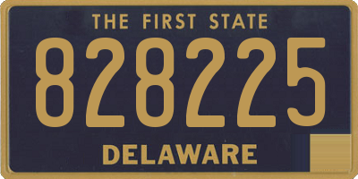 DE license plate 828225