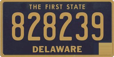 DE license plate 828239