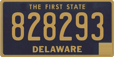 DE license plate 828293