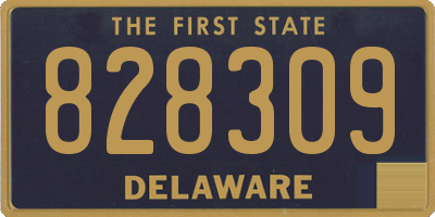 DE license plate 828309