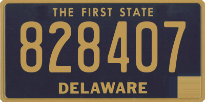 DE license plate 828407