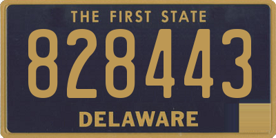 DE license plate 828443