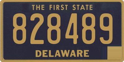 DE license plate 828489
