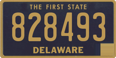 DE license plate 828493