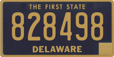 DE license plate 828498