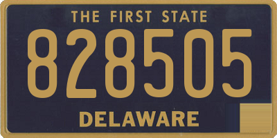 DE license plate 828505