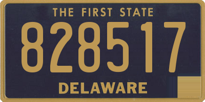 DE license plate 828517