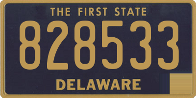 DE license plate 828533
