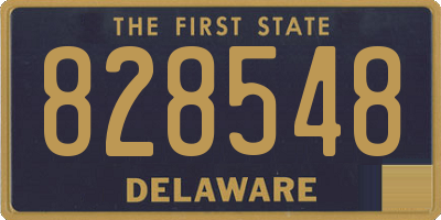 DE license plate 828548