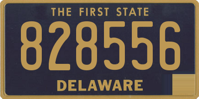 DE license plate 828556