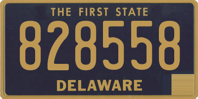 DE license plate 828558