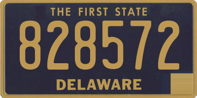 DE license plate 828572