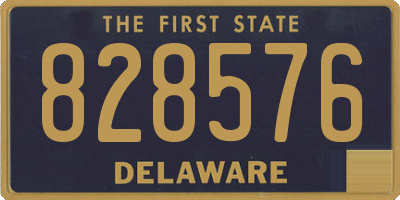 DE license plate 828576