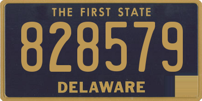 DE license plate 828579