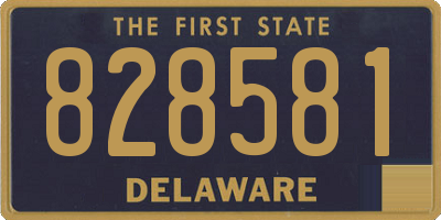 DE license plate 828581