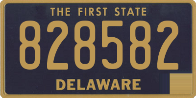 DE license plate 828582