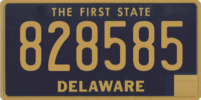 DE license plate 828585
