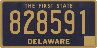 DE license plate 828591
