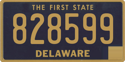 DE license plate 828599