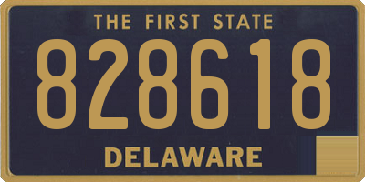 DE license plate 828618