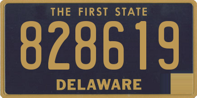 DE license plate 828619