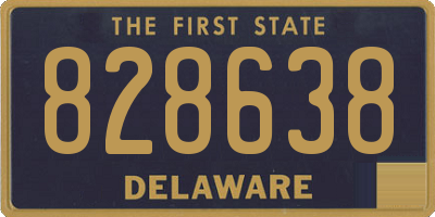 DE license plate 828638