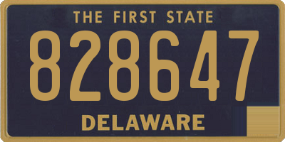 DE license plate 828647