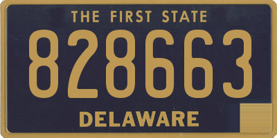 DE license plate 828663