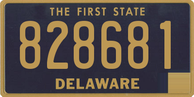 DE license plate 828681