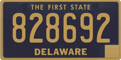DE license plate 828692