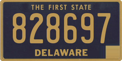 DE license plate 828697
