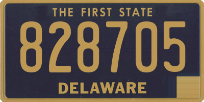 DE license plate 828705