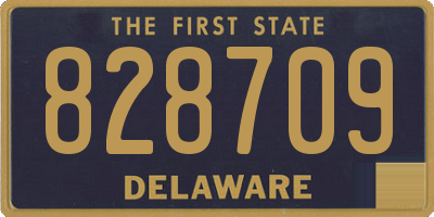 DE license plate 828709