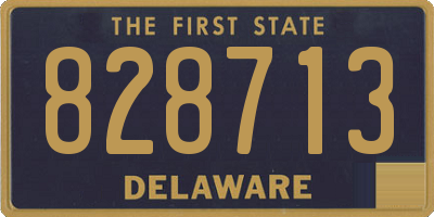 DE license plate 828713