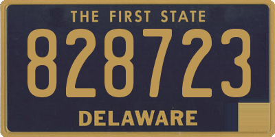 DE license plate 828723