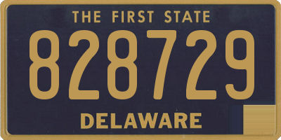 DE license plate 828729