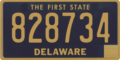 DE license plate 828734