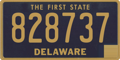 DE license plate 828737