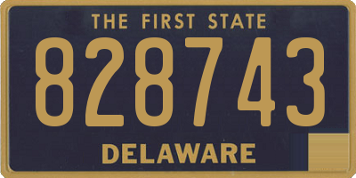 DE license plate 828743