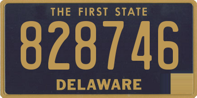 DE license plate 828746