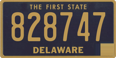DE license plate 828747