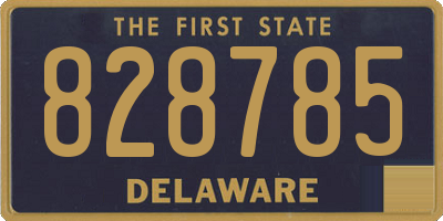DE license plate 828785