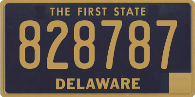 DE license plate 828787
