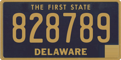 DE license plate 828789